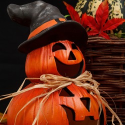 Herbstfest in der Mönchmühle