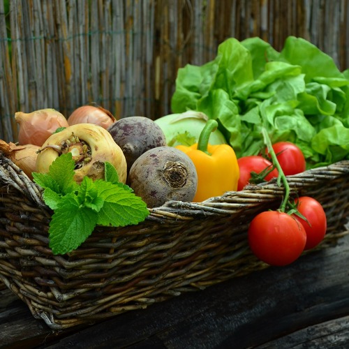 Tag des Obstgartens