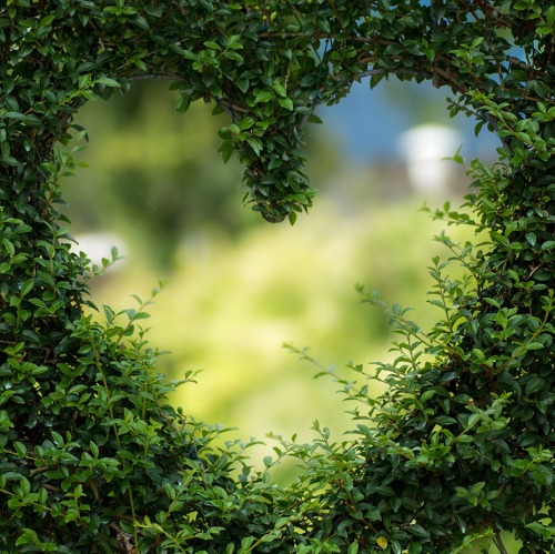 Gartenbegehung f&uuml;r Abteilung 3