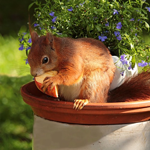 Die Bewerberliste ist ab 01.10.2025 wieder geöffnet